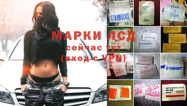 герыч Новокубанск