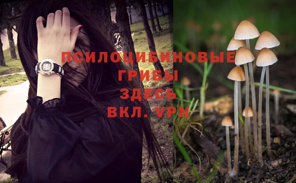 скорость Новозыбков