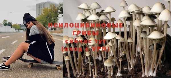 скорость Новозыбков