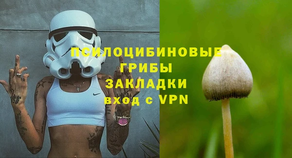 гидропоника Новодвинск