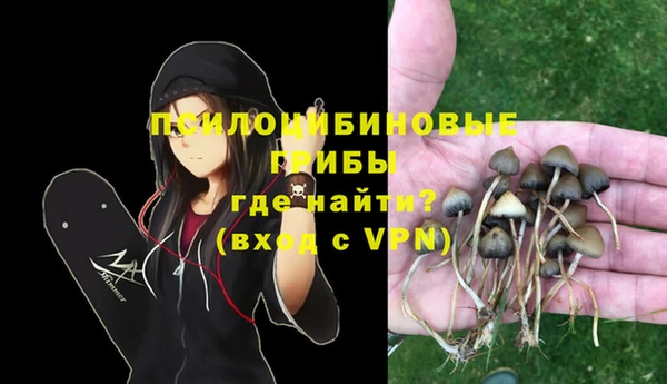герыч Новокубанск