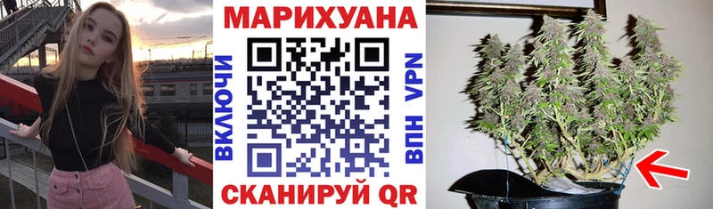 Бошки Шишки сатива  Купить закладки  Тихвин 